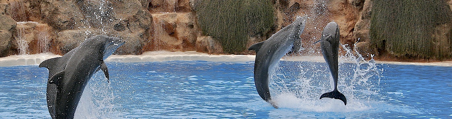 Loro Park på Tenerife