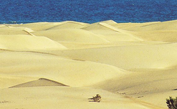 Sanddyner på Gran Canaria